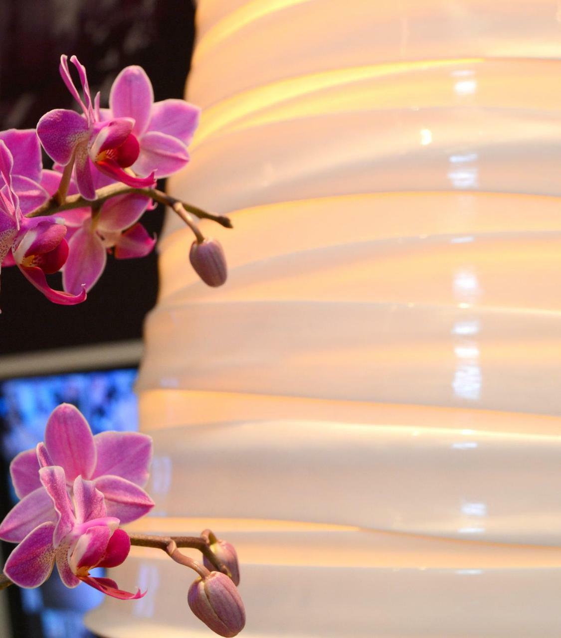 Hotel Gratte-Ciel Ariana Villeurbanne Ngoại thất bức ảnh